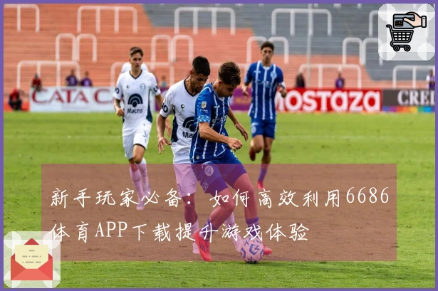 新手玩家必备：如何高效利用6686体育APP下载提升游戏体验
